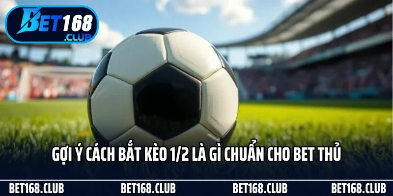 Gợi ý cách bắt kèo 1/2 là gì chuẩn cho bet thủ